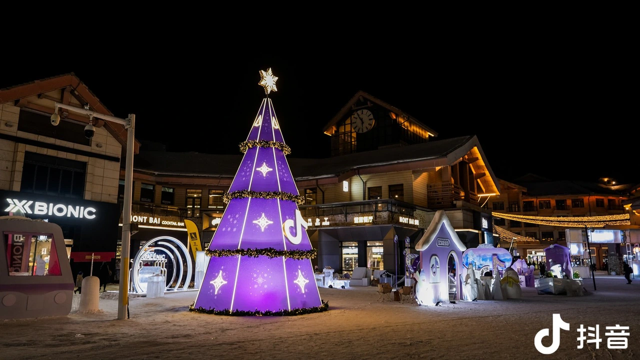 冬日灵动岛雪山训练营紫色圣诞树夜景装置